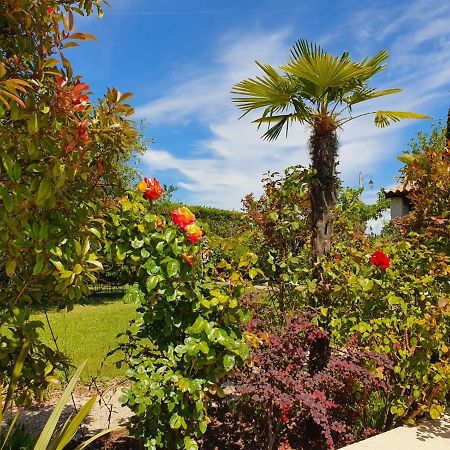 La Cabane Du Pesquier En Provence Caumont-sur-Durance Εξωτερικό φωτογραφία