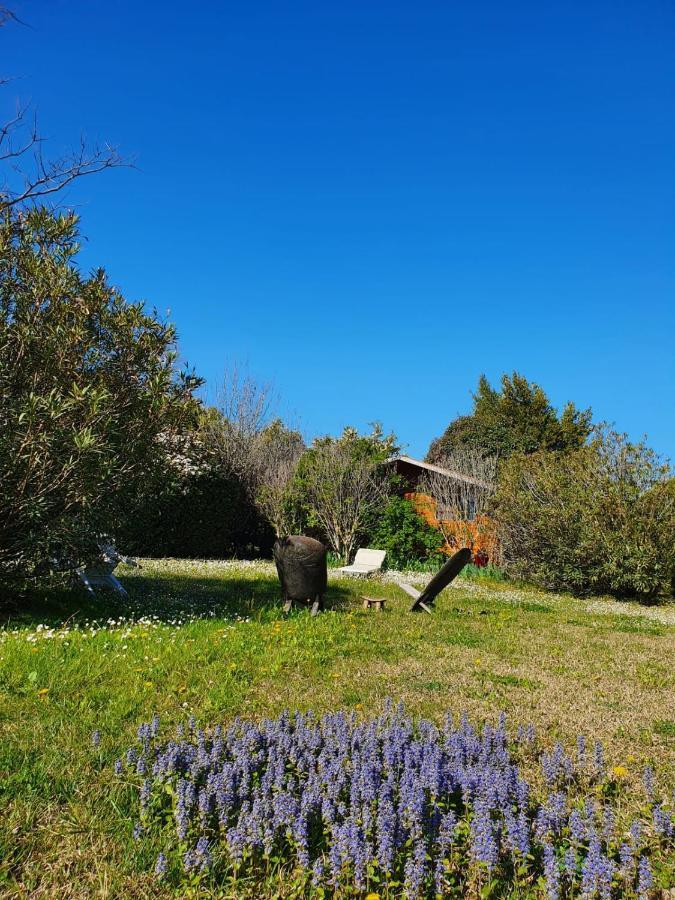 La Cabane Du Pesquier En Provence Caumont-sur-Durance Εξωτερικό φωτογραφία
